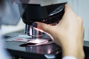 28R5x1Z04PjdsV6Qfjnp5JZRodtoaDqnF3NAUvPGuqKLq0MJzKKd2505fcpTg21a